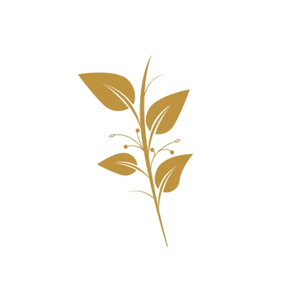 Elément graphique la plante éthique doré sur fond blanc