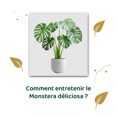 La plante éthique - Post réseaux sociaux - Template