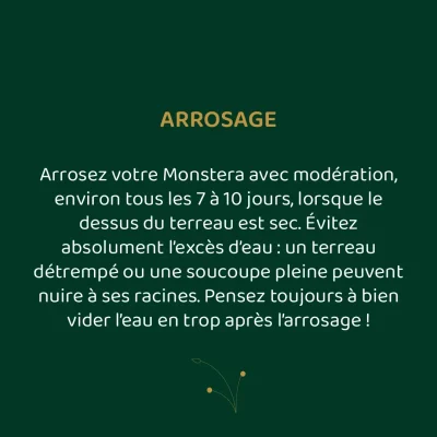 La plante éthique - Post réseaux sociaux - Template