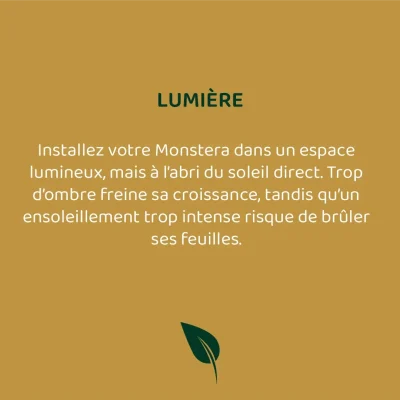 La plante éthique - Post réseaux sociaux - Template