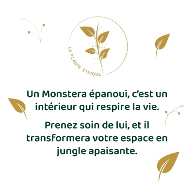 La plante éthique - Post réseaux sociaux - Template
